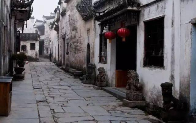 小僵尸射飞鸟